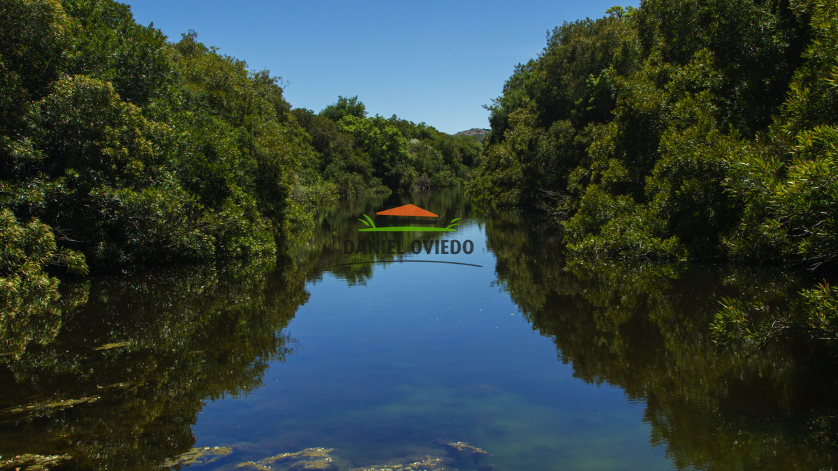 Campo Ref.330/Campo-con-Olivos-de-166-has-en-venta-en-Maldonado. - Campo con Olivos de 166 has en venta en Maldonado.