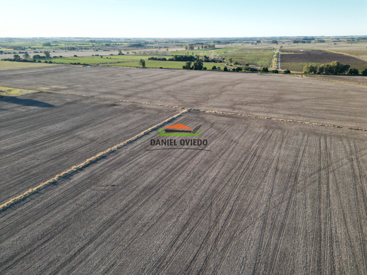 Campo Ref.207 - Excelente campo agrícola en venta en ruta 1, San José.