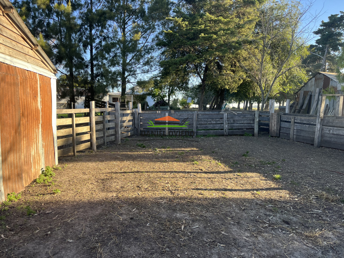 Campo Ref.209 - Excepcional ubicación en ruta 1 y campo productivo donde nadie vende.
