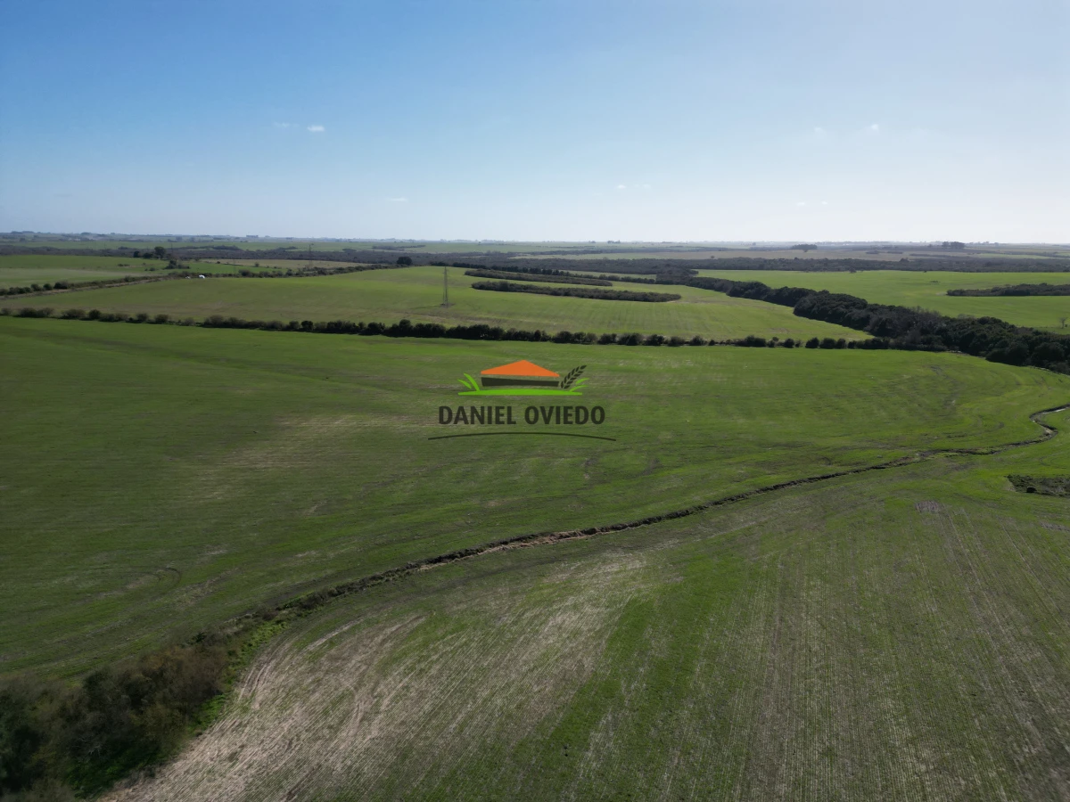 Campo Ref.244/Excelente-campo-agr - Excelente campo agrícola en venta en Víboras, Carmelo.