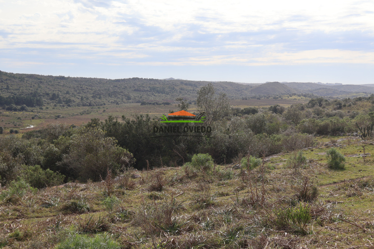 Campo Ref.211 - Estancia La Querida, Cerro Largo, 1.675 has en venta.