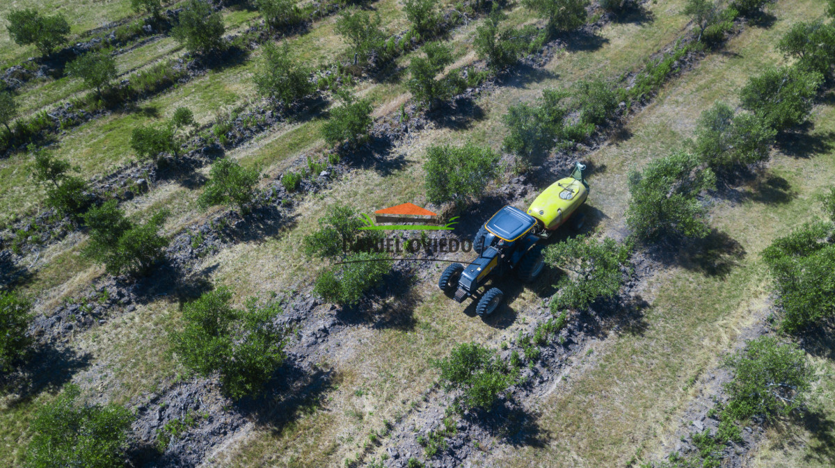 Campo Ref.327/Campo-con-Olivos-de-320-has-en-venta-en-Maldonado. - Campo con Olivos de 320 has en venta en Maldonado.