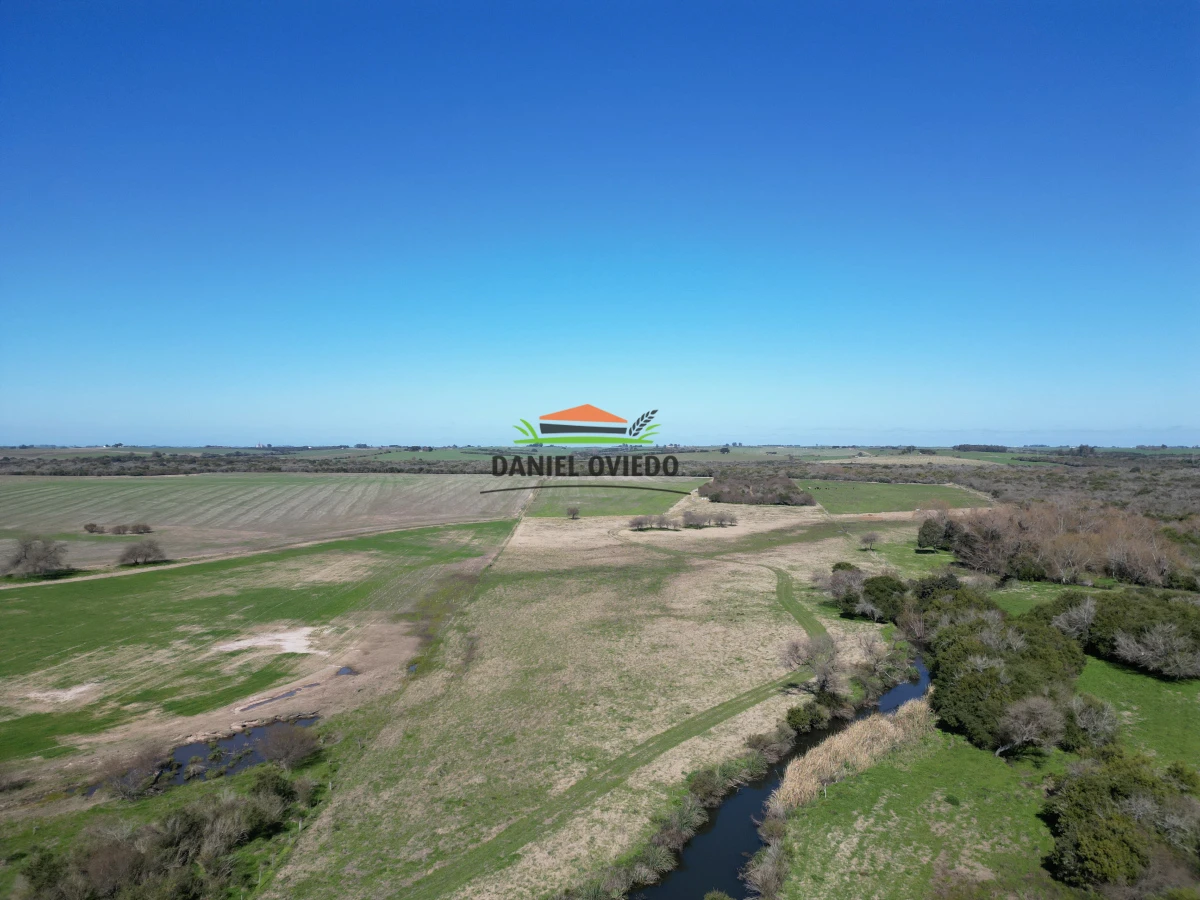 Campo Ref.243/Campo-agrícola-ganadero-en-venta-con-costa-de-arroyo. - Campo agrícola ganadero en venta con costa de arroyo.