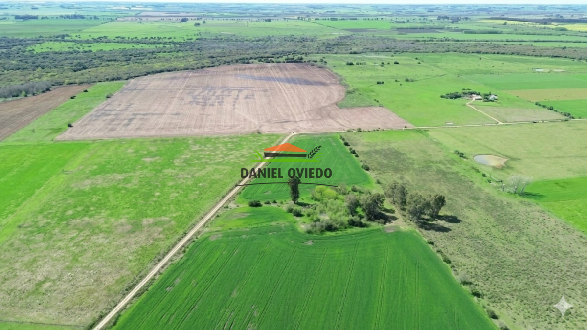 Campo Ref.413/🌾- - 🌾 ¡NUEVA OPORTUNIDAD DE INVERSIÓN AGRÍCOLA EN SAN JOSÉ! 🚜