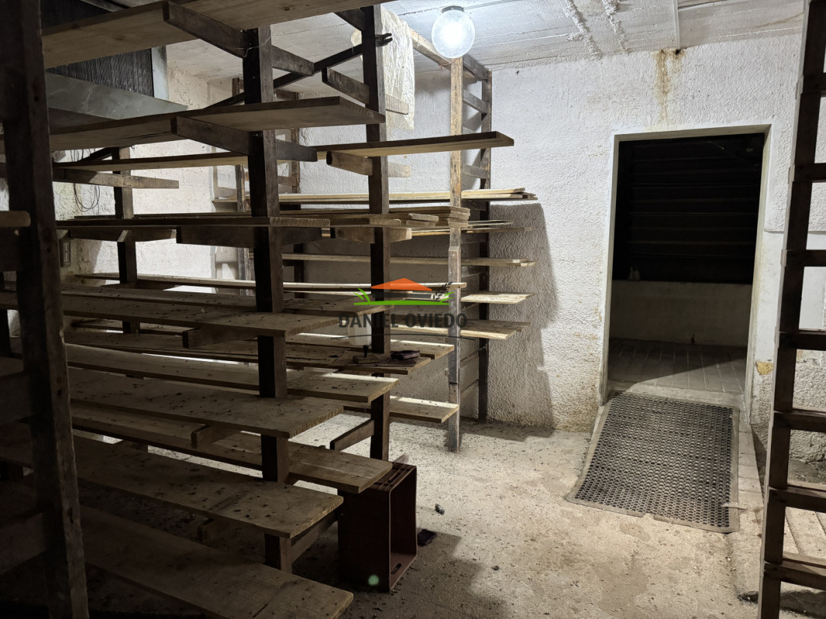 Campo Ref.377/Establecimiento-con-f - Establecimiento con fábrica y 33 Hás de campo - Instalaciones y equipamiento incluidos | Colonia