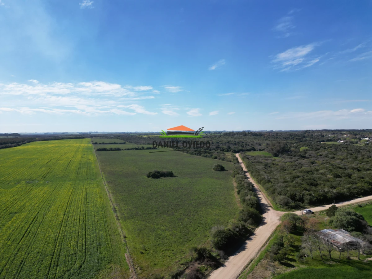 Campo Ref.414/ - ¡Nueva oportunidad rural proxima a Conchillas!