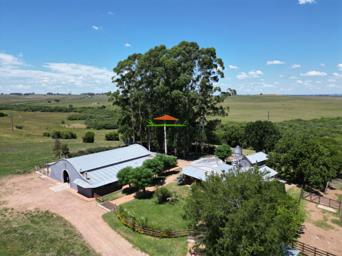 Campo Ref.357/Muy-buen-establecimiento-completo-en-venta-en-ruta-26-proximo-a-Melo. - Muy buen establecimiento completo en venta en ruta 26 proximo a Melo.