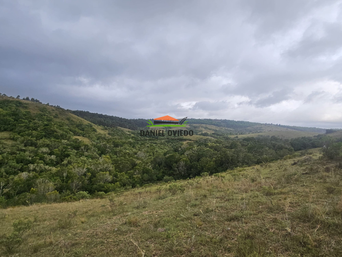 Campo Ref.350/Oportunidad-buen-campo-ganadero-en-venta-con-excelentes-vistas. - Oportunidad buen campo ganadero en venta con excelentes vistas.