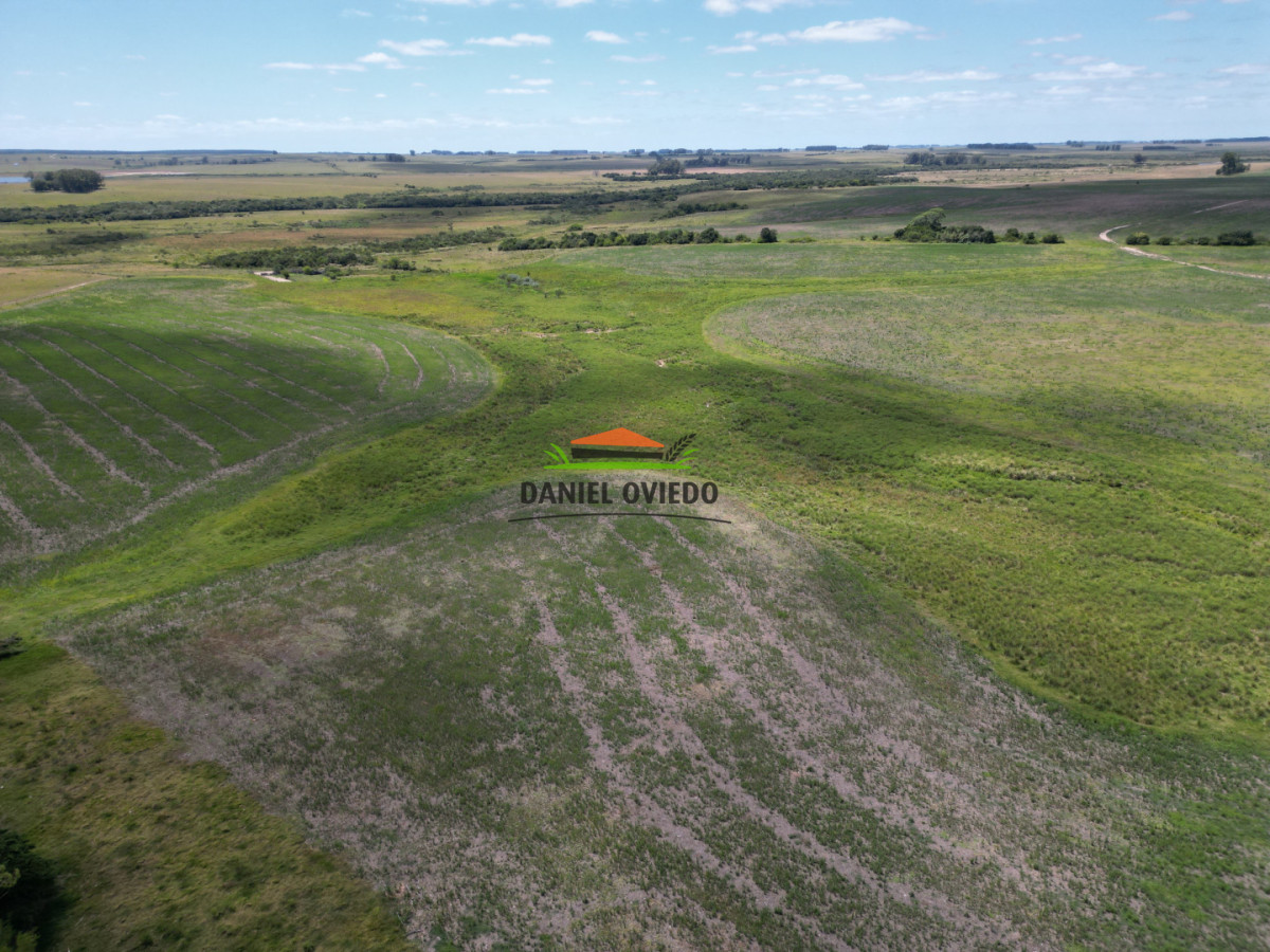 Campo Ref.359/Estancia-de-945-has-en-venta-en-Cerro-Largo. - Estancia de 945 has en venta en Cerro Largo.
