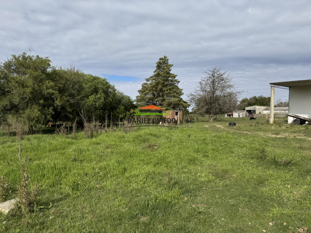 Campo Ref.377/Establecimiento-con-f - Establecimiento con fábrica y 33 Hás de campo - Instalaciones y equipamiento incluidos | Colonia