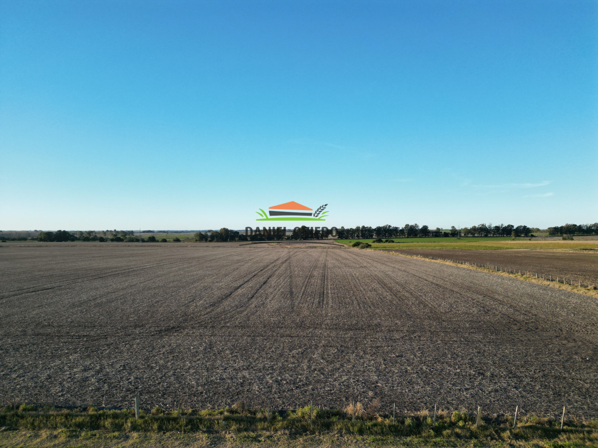 Campo Ref.207 - Excelente campo agrícola en venta en ruta 1, San José.