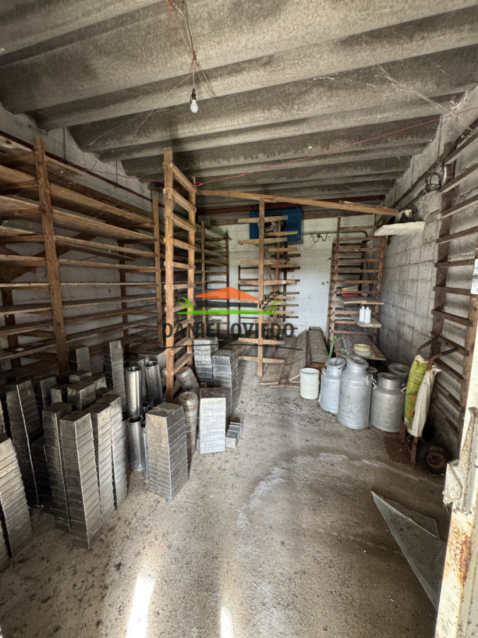 Campo Ref.377/Establecimiento-con-f - Establecimiento con fábrica y 33 Hás de campo - Instalaciones y equipamiento incluidos | Colonia