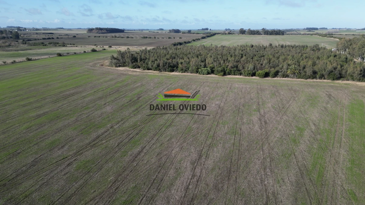 Campo Ref.235/Campo-agr - Campo agrícola de 23.8 has próximo a balneario Artilleros.