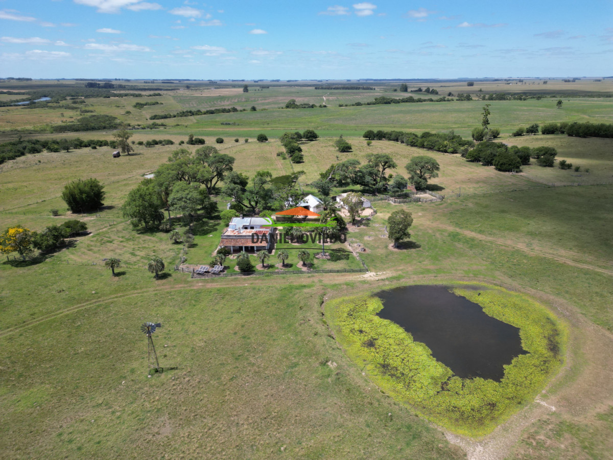 Campo Ref.359/Estancia-de-945-has-en-venta-en-Cerro-Largo. - Estancia de 945 has en venta en Cerro Largo.