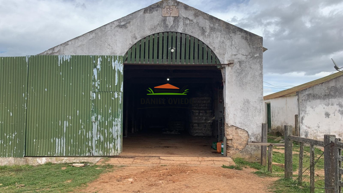 Campo Ref.211 - Estancia La Querida, Cerro Largo, 1.675 has en venta.