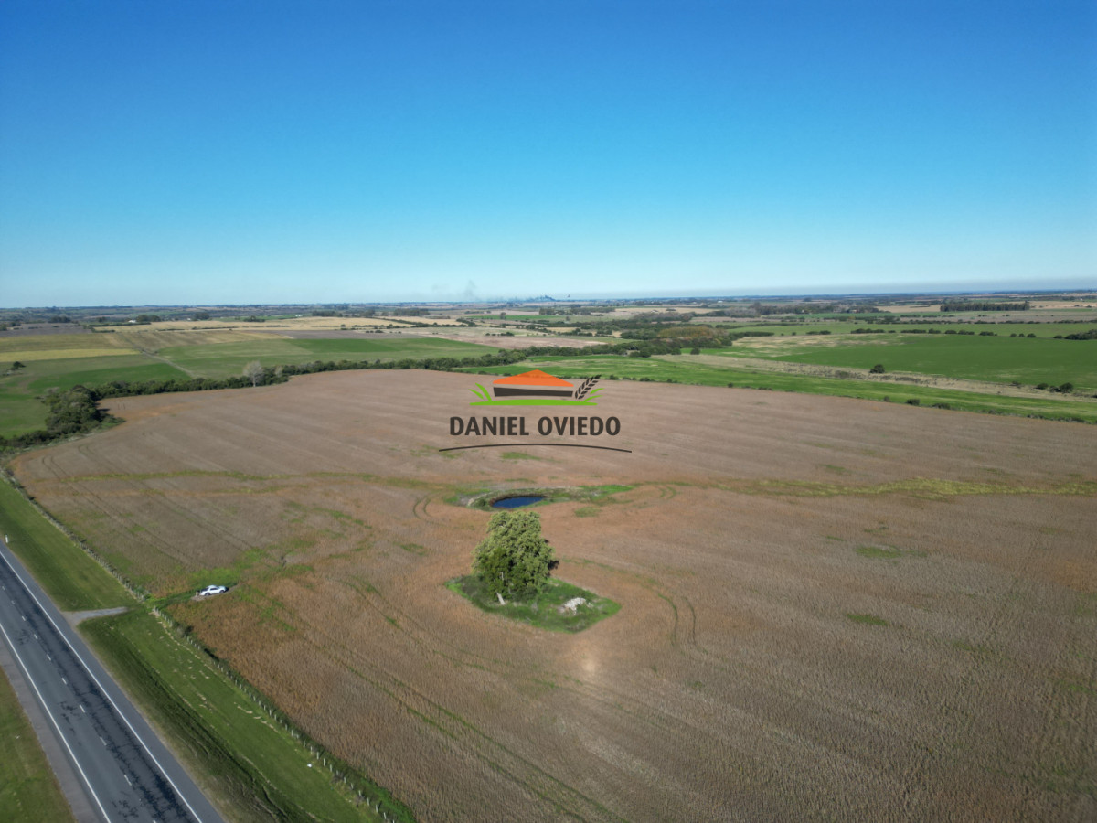 Campo Ref.383/22-Hect - 22 Hectáreas Agrícolas sobre Ruta 1 | Excelente Ubicación y Muy Buenos Suelos