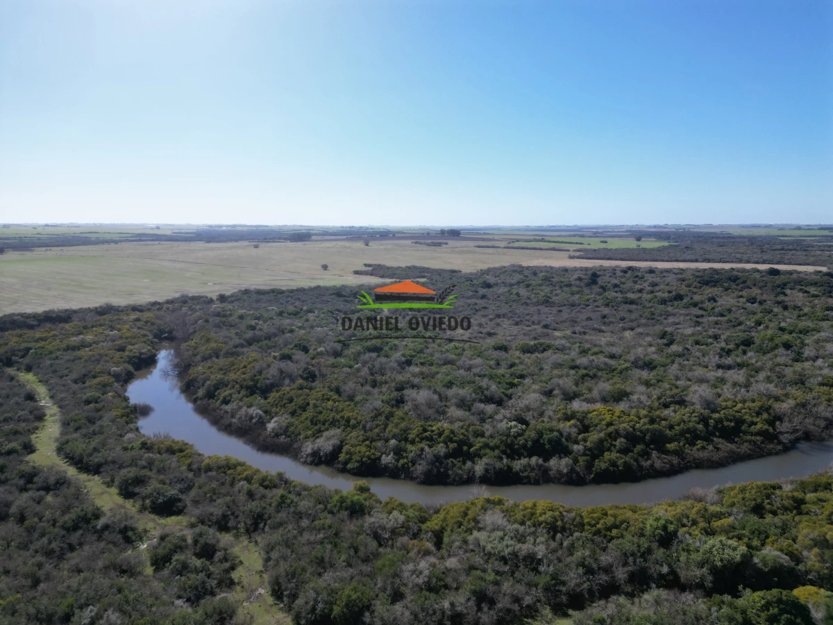 Campo Ref.243/Campo-agrícola-ganadero-en-venta-con-costa-de-arroyo. - Campo agrícola ganadero en venta con costa de arroyo.