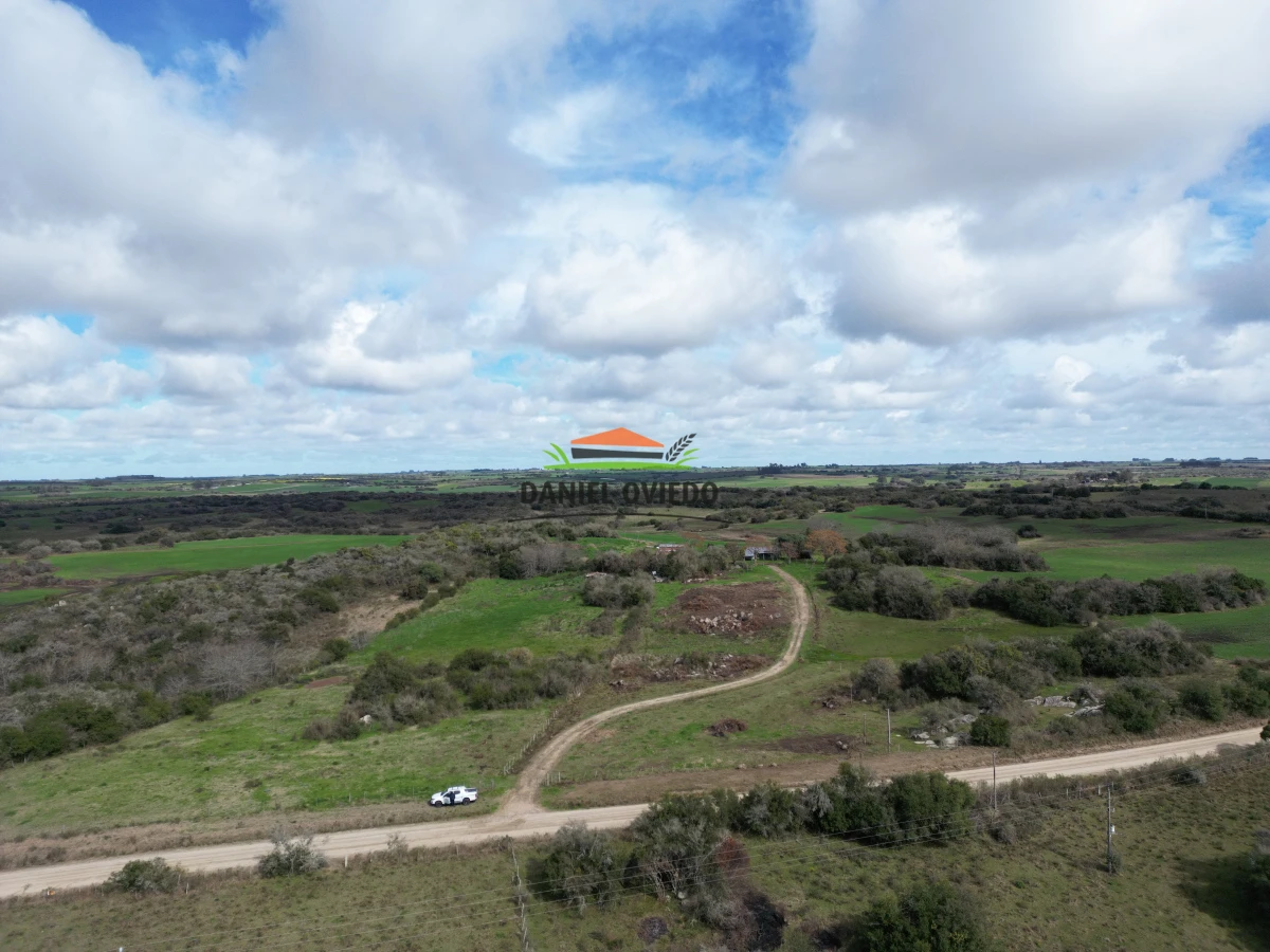 Campo Ref.249/Buen-campo-ganadero-en-venta-ideal-para-engorde. - Buen campo ganadero en venta ideal para engorde.