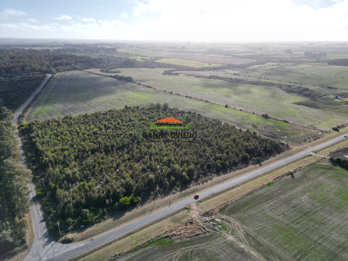 Campo Ref.235/Campo-agrícola-de-23.8-has-próximo-a-balneario-Artilleros. - Campo agrícola de 23.8 has próximo a balneario Artilleros.