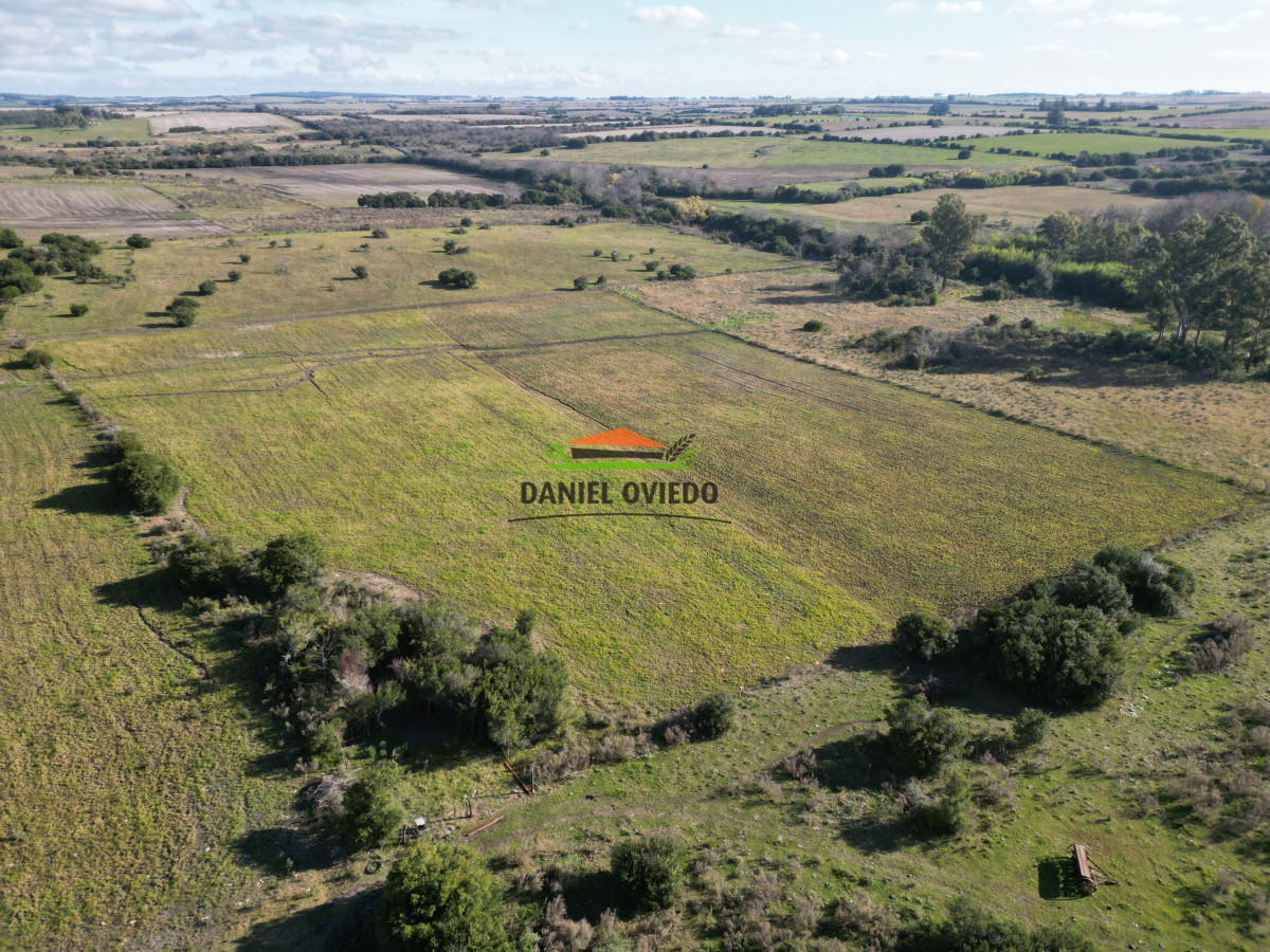 Campo Ref.208 - Campo agrícola ganadero de 20,95 has en Miguelete de Campana.