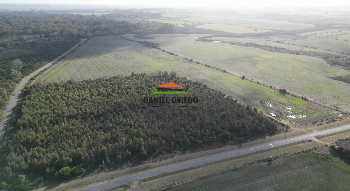 Campo Ref.235/Campo-agrícola-de-23.8-has-próximo-a-balneario-Artilleros. - Campo agrícola de 23.8 has próximo a balneario Artilleros.