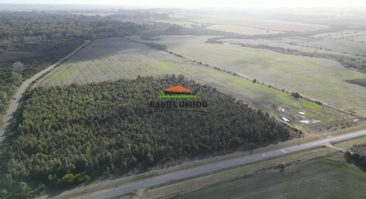 Campo Ref.235/Campo-agr - Campo agrícola de 23.8 has próximo a balneario Artilleros.