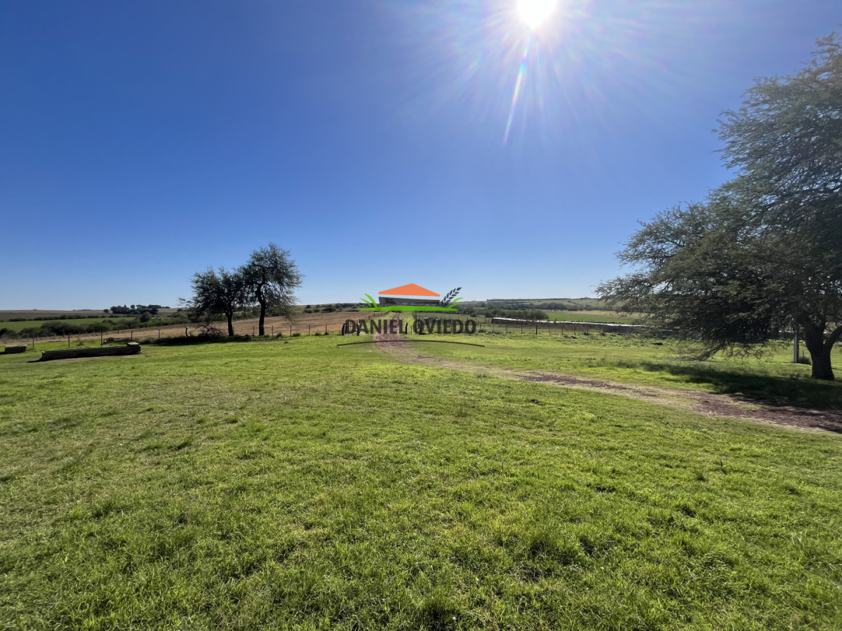 Campo Ref.381/Campo-agr - Campo agrícola en venta en zona de Víboras, Colonia.