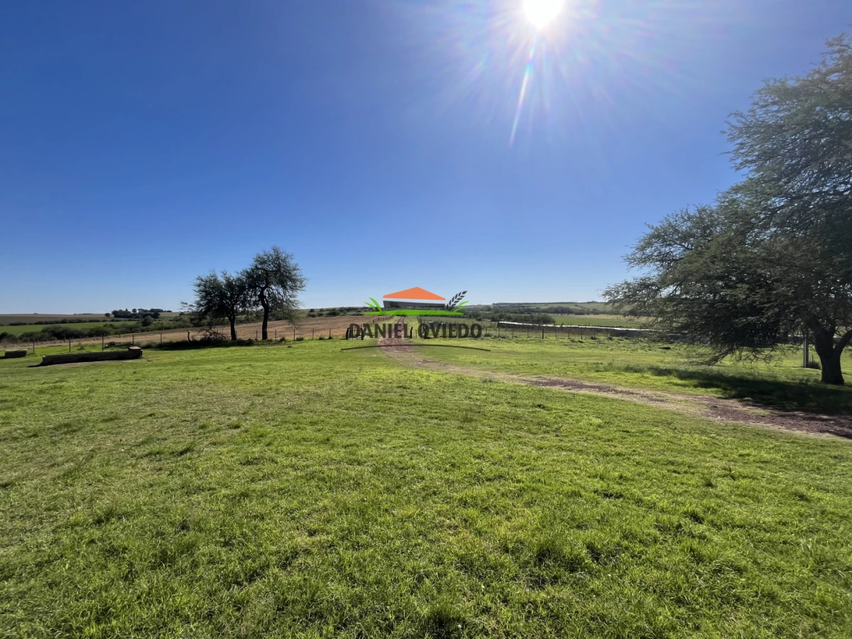Campo Ref.381/Campo-agr - Campo agrícola en venta en zona de Víboras, Colonia.