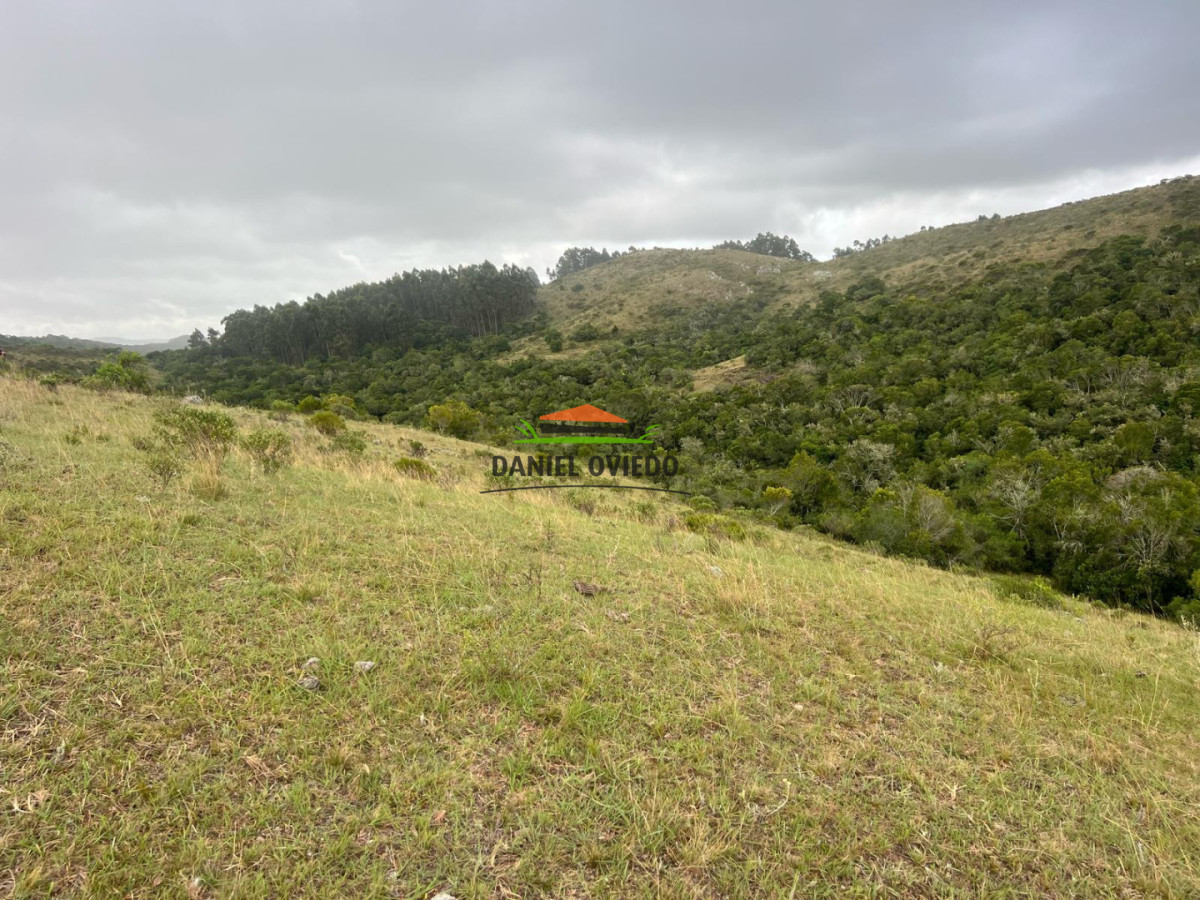 Campo Ref.350/Oportunidad-buen-campo-ganadero-en-venta-con-excelentes-vistas. - Oportunidad buen campo ganadero en venta con excelentes vistas.