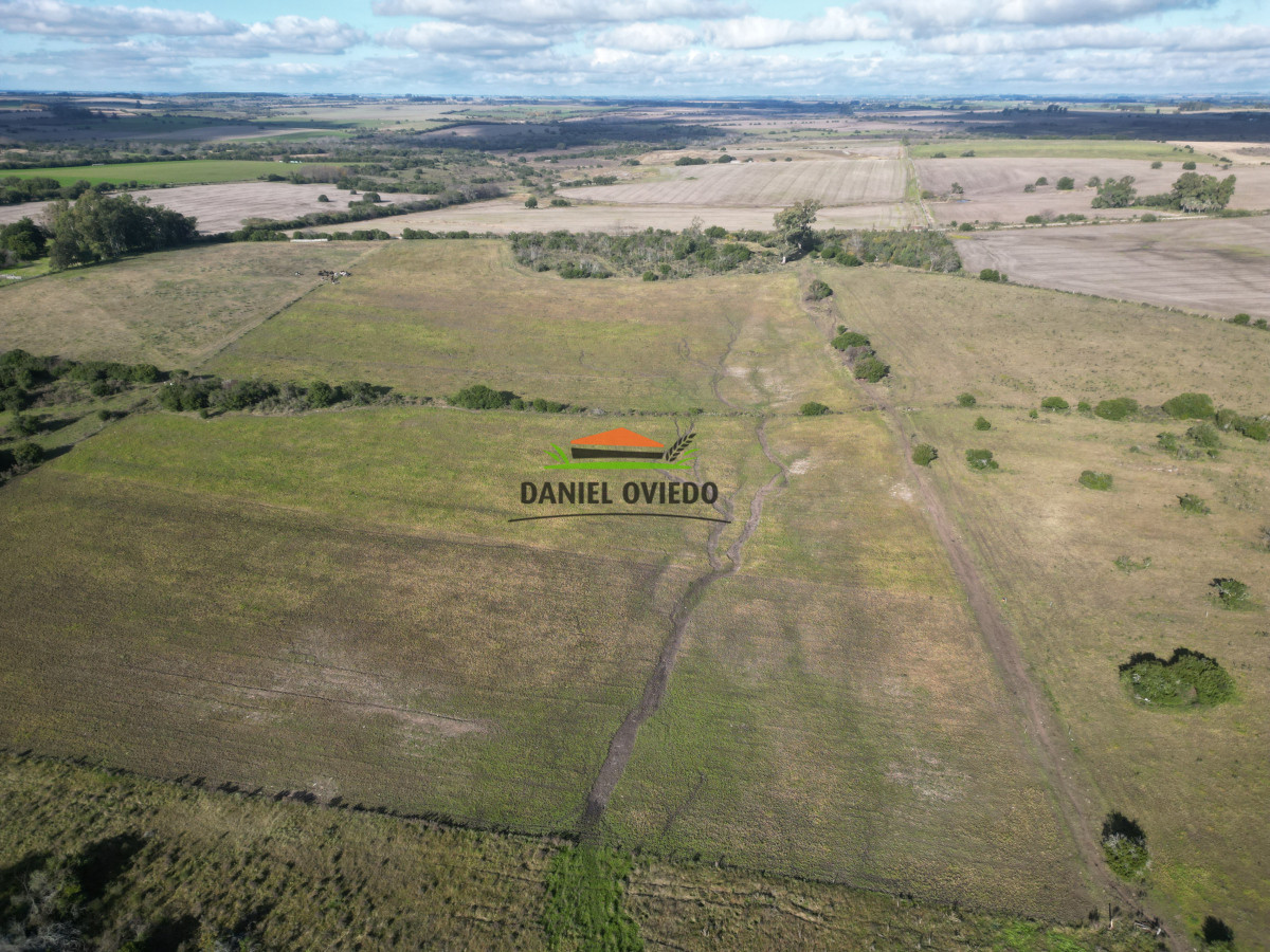 Campo Ref.208 - Campo agrícola ganadero de 20,95 has en Miguelete de Campana.