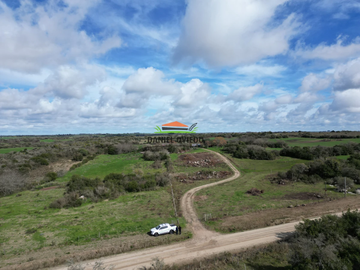Campo Ref.249/Buen-campo-ganadero-en-venta-ideal-para-engorde. - Buen campo ganadero en venta ideal para engorde.