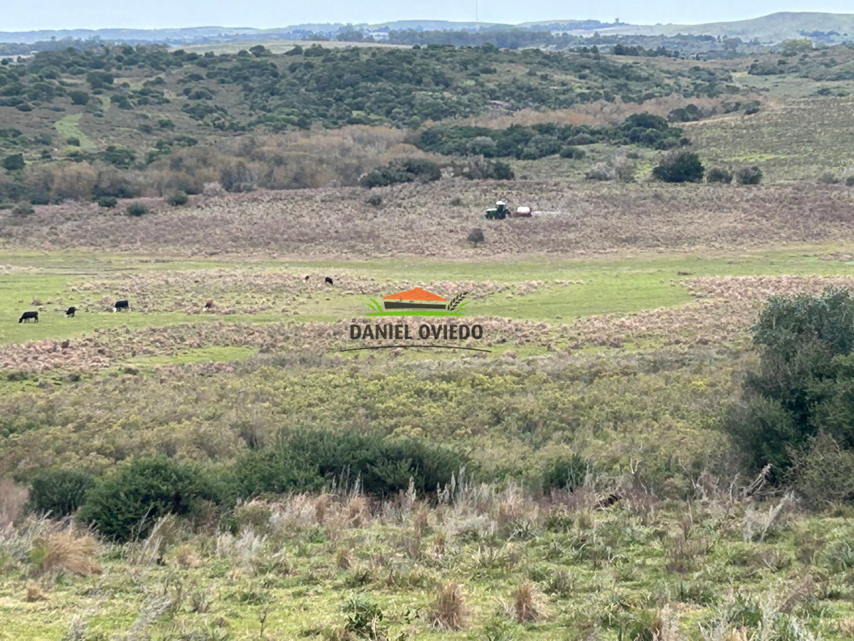 Campo Ref.210 - Estancia ganadera completa en venta de 3.000 has en Cerro Largo.