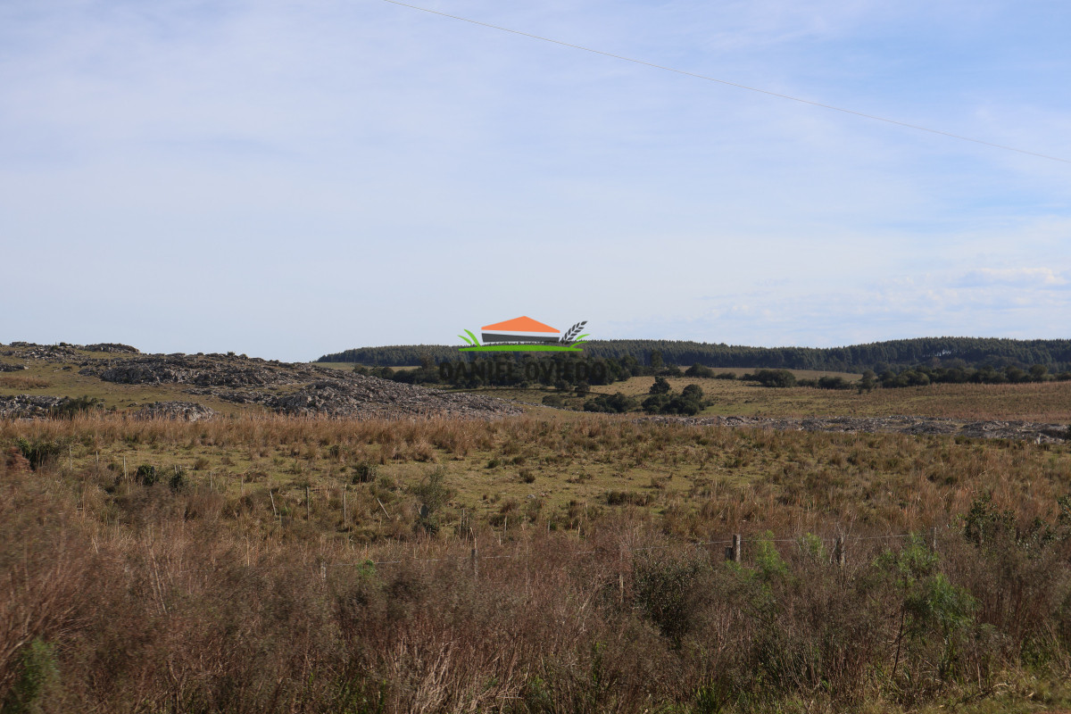 Campo Ref.211 - Estancia La Querida, Cerro Largo, 1.675 has en venta.