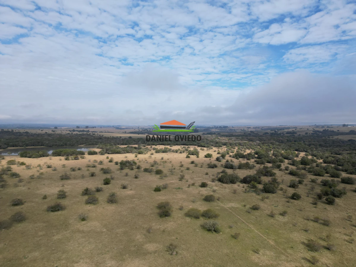 Campo Ref.245/1.350-has-ganaderas-en-arrendamiento-Noreste-de-Cerro-Largo. - 1.350 has ganaderas en arrendamiento Noreste de Cerro Largo.