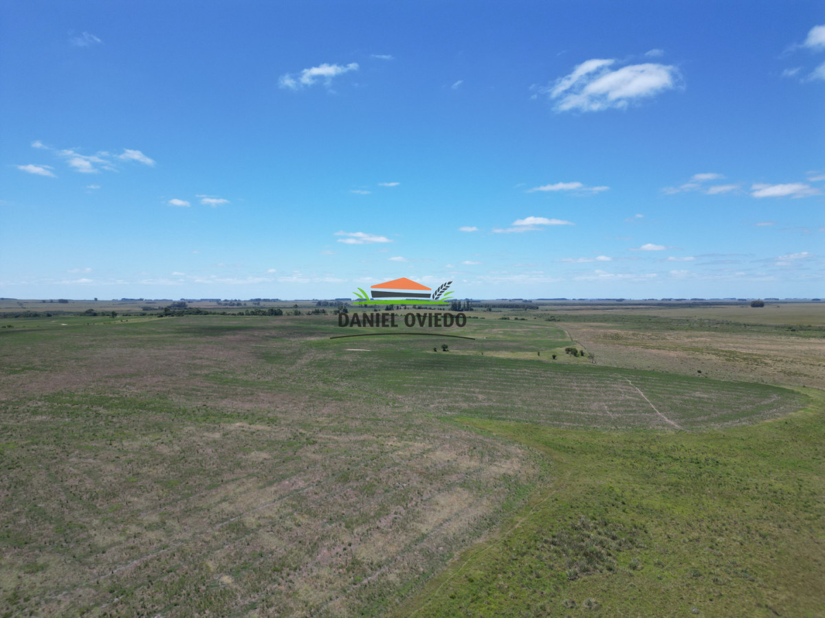 Campo Ref.359/Estancia-de-945-has-en-venta-en-Cerro-Largo. - Estancia de 945 has en venta en Cerro Largo.