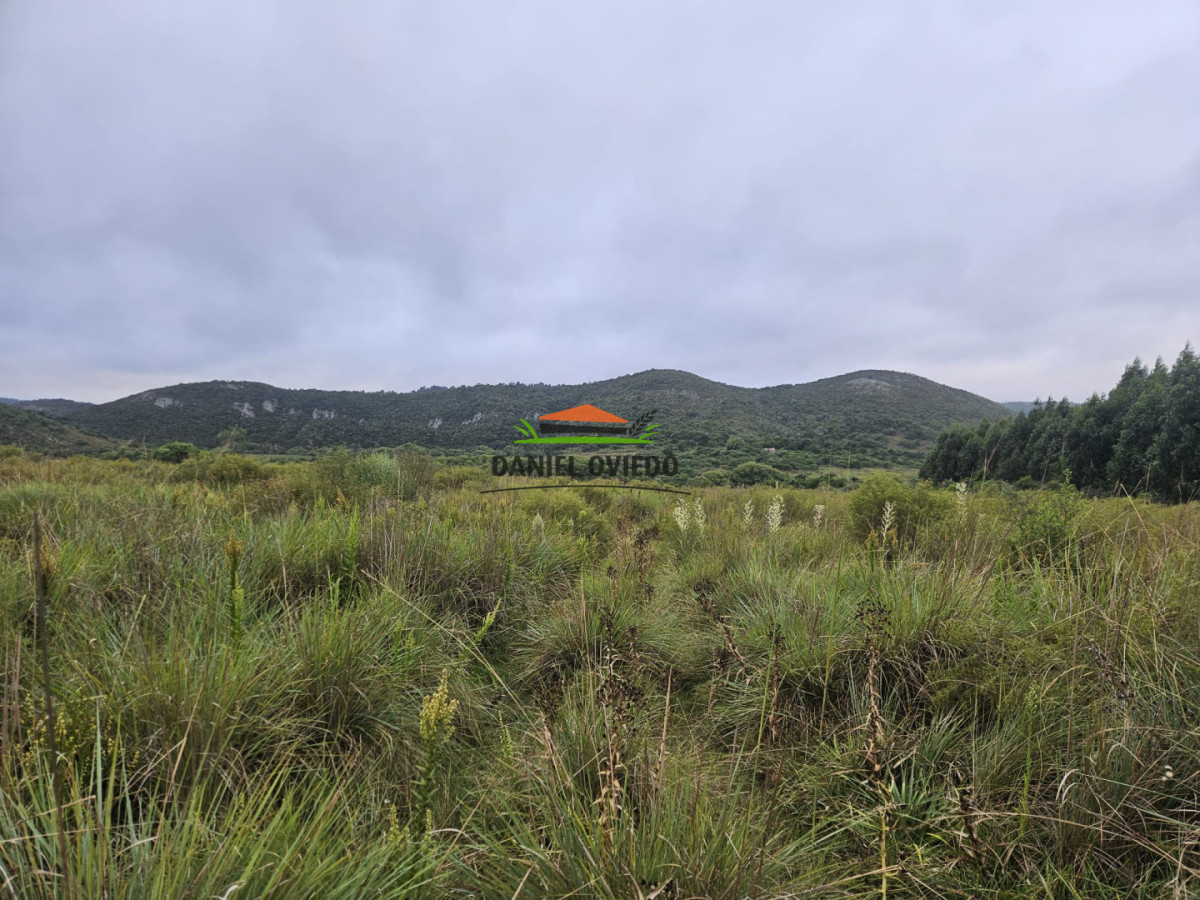 Campo Ref.350/Oportunidad-buen-campo-ganadero-en-venta-con-excelentes-vistas. - Oportunidad buen campo ganadero en venta con excelentes vistas.