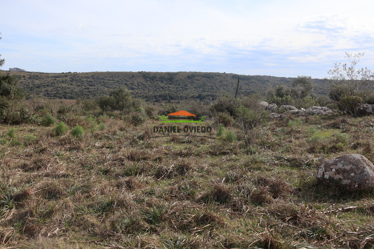 Campo Ref.211 - Estancia La Querida, Cerro Largo, 1.675 has en venta.