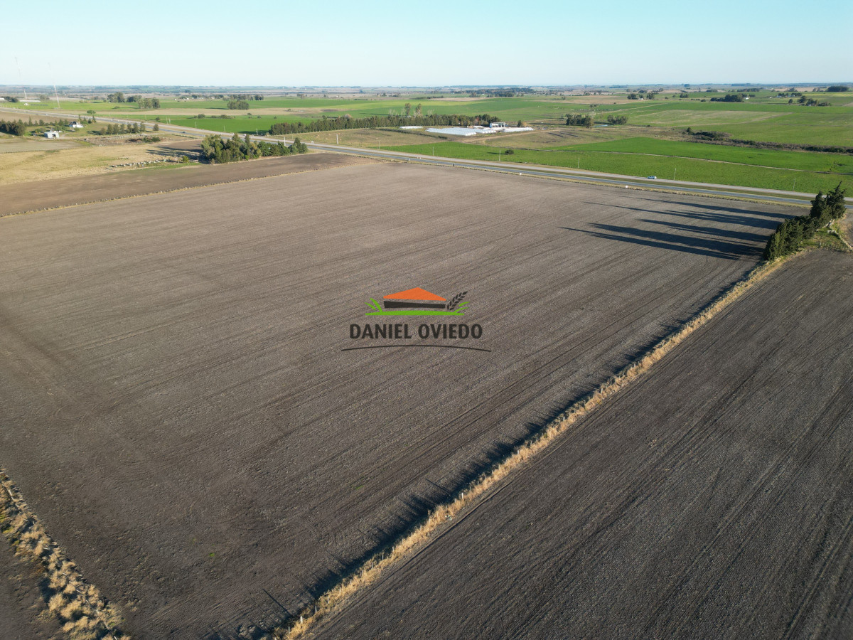 Campo Ref.209 - Excepcional ubicación en ruta 1 y campo productivo donde nadie vende.