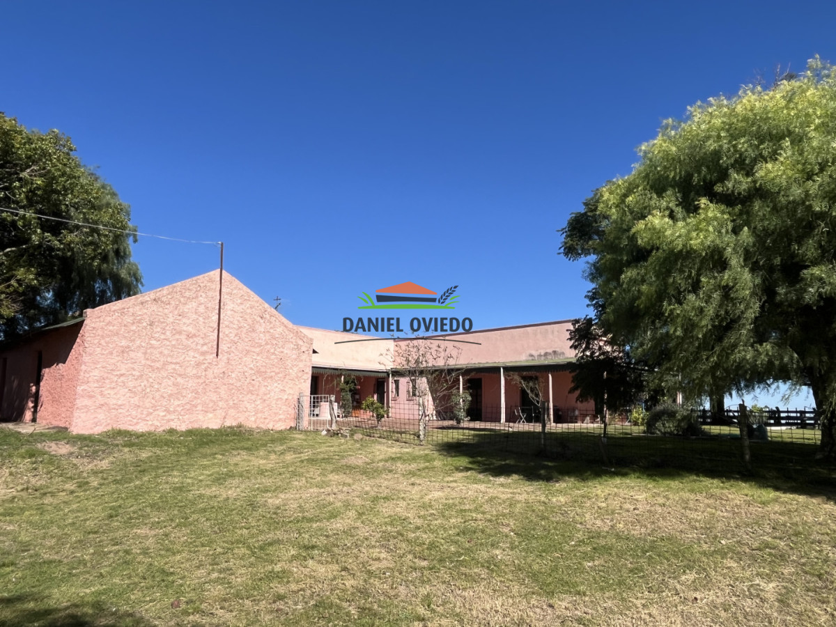 Campo Ref.381/Campo-agr - Campo agrícola en venta en zona de Víboras, Colonia.