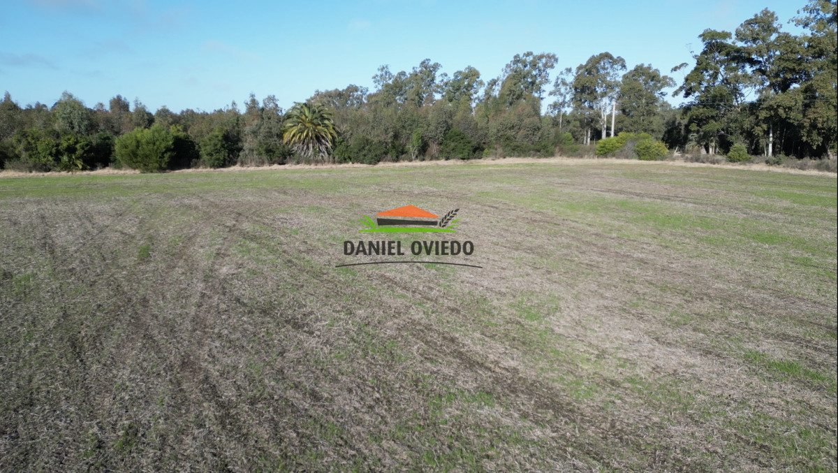 Campo Ref.235/Campo-agrícola-de-23.8-has-próximo-a-balneario-Artilleros. - Campo agrícola de 23.8 has próximo a balneario Artilleros.