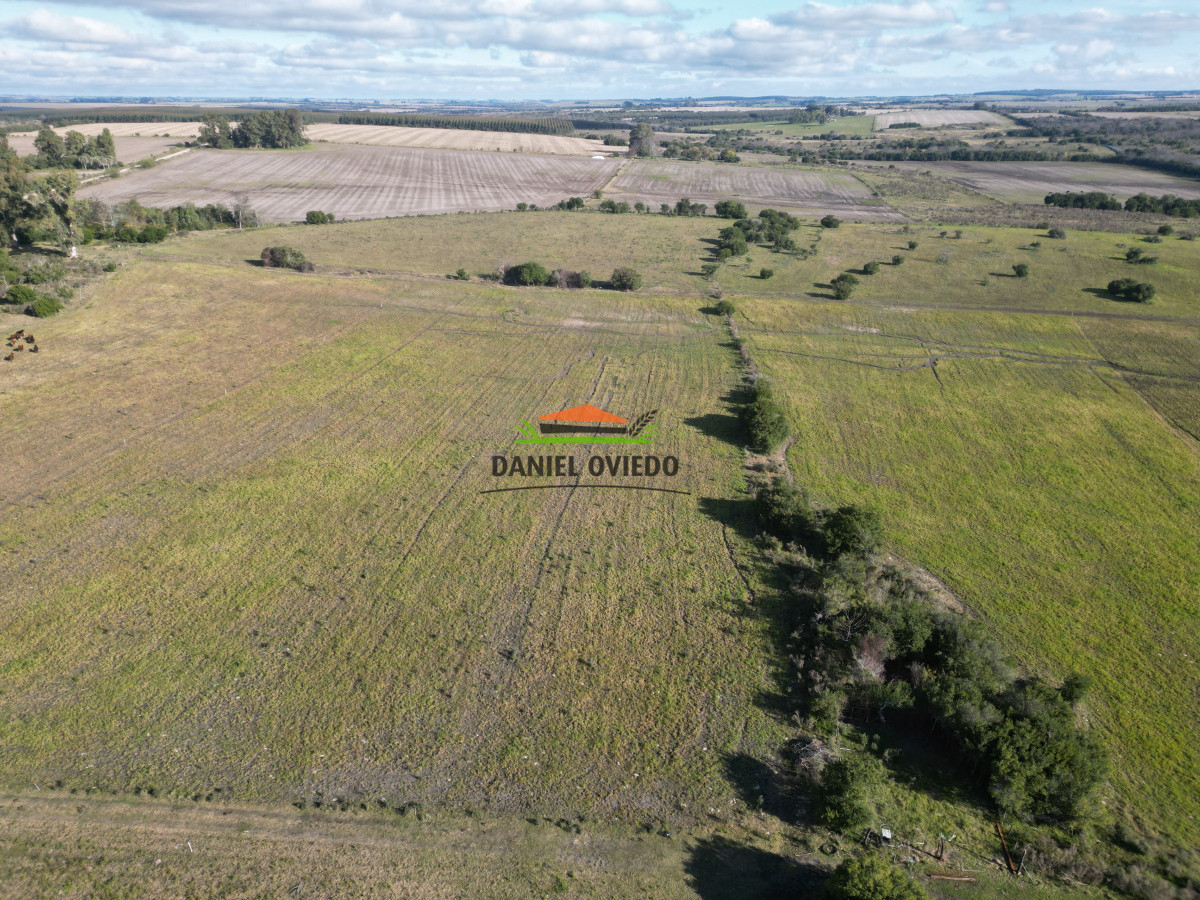 Campo Ref.208 - Campo agrícola ganadero de 20,95 has en Miguelete de Campana.