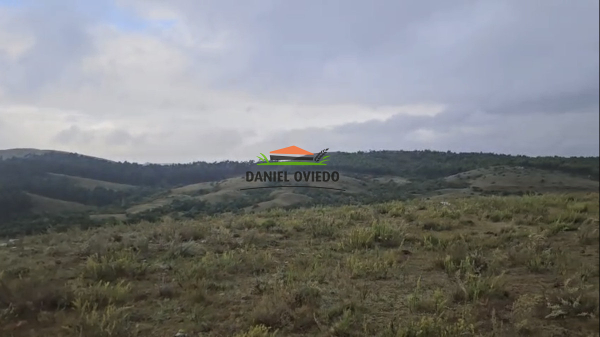 Campo Ref.350/Oportunidad-buen-campo-ganadero-en-venta-con-excelentes-vistas. - Oportunidad buen campo ganadero en venta con excelentes vistas.