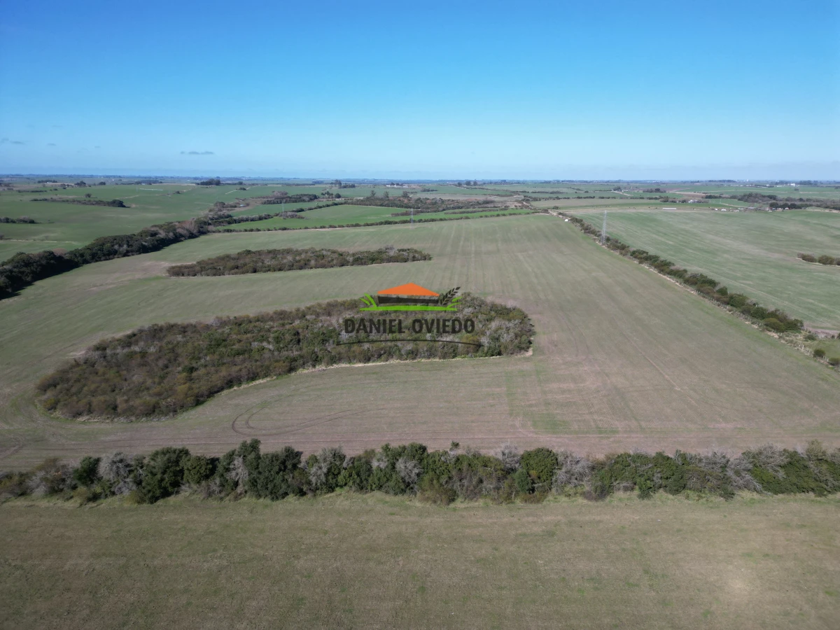 Campo Ref.244/Excelente-campo-agr - Excelente campo agrícola en venta en Víboras, Carmelo.