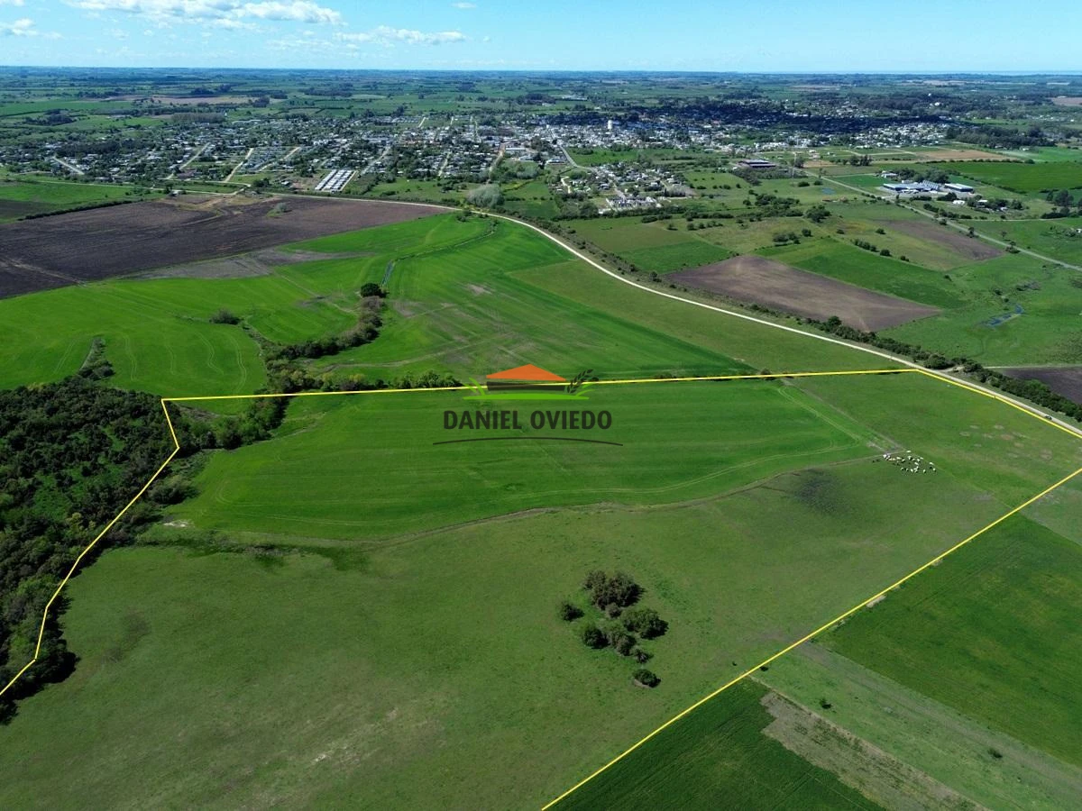 Campo Ref.336/Campo-agr - Campo agrícola de 18,9 hás con renta anual - Nueva Helvecia