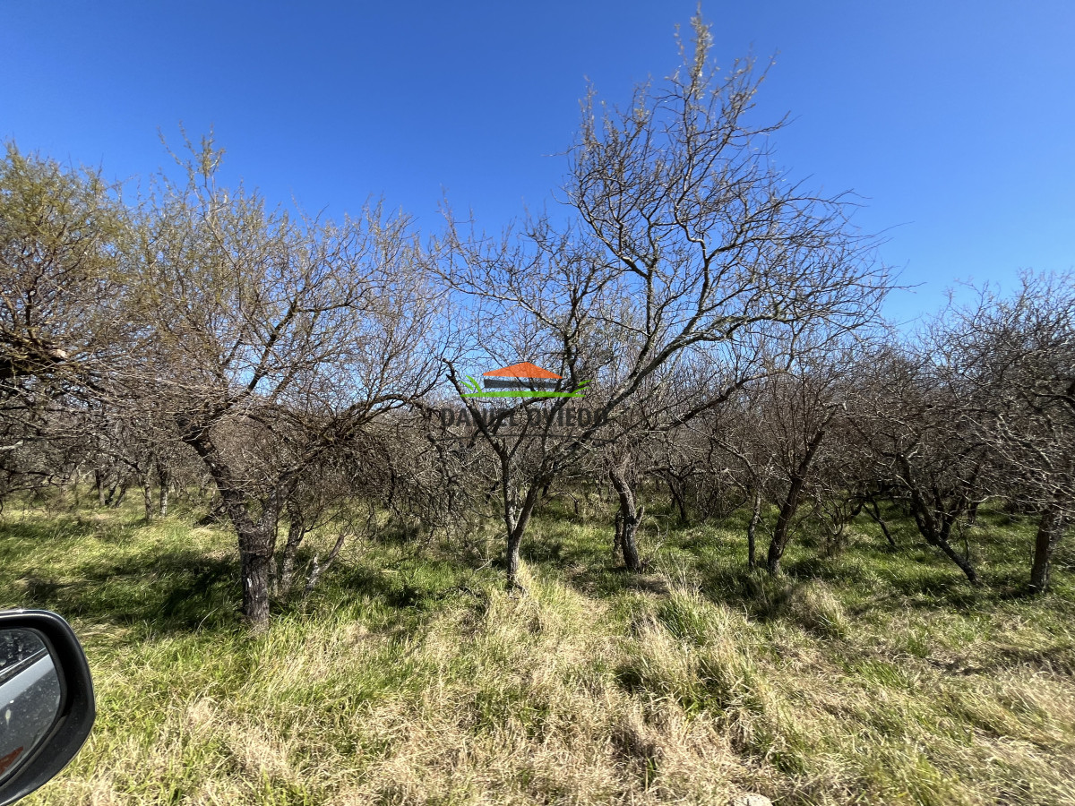 Campo Ref.243/Campo-agrícola-ganadero-en-venta-con-costa-de-arroyo. - Campo agrícola ganadero en venta con costa de arroyo.