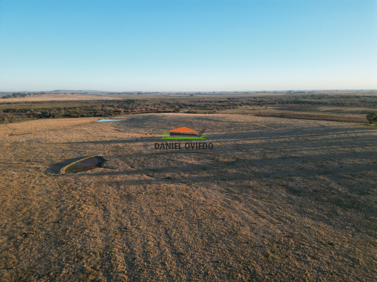 Campo Ref.223/Establecimiento-de-760-hás-en-venta-en-Cerro-Largo. - Establecimiento de 760 hás en venta en Cerro Largo.