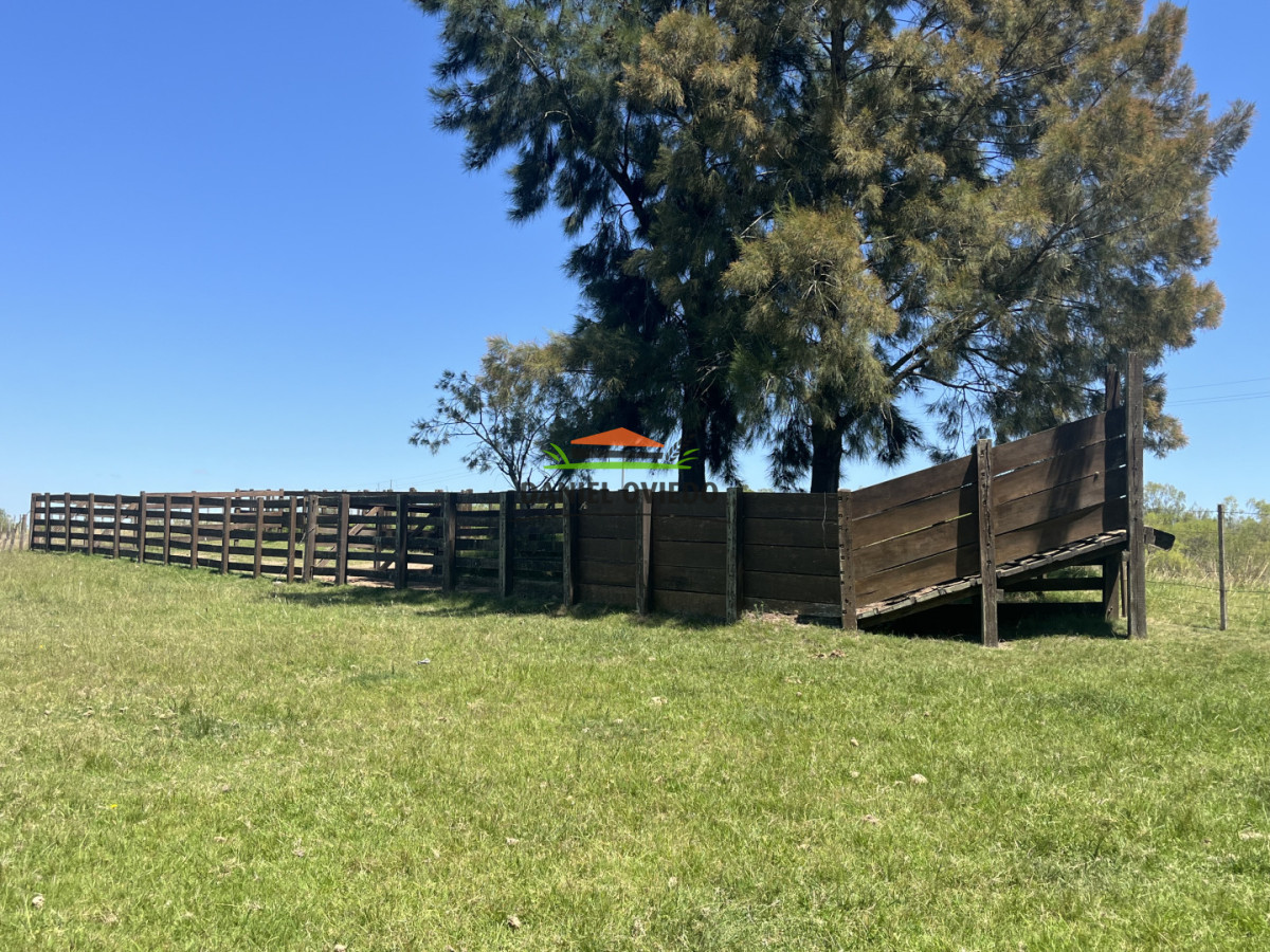 Campo Ref.357/Muy-buen-establecimiento-completo-en-venta-en-ruta-26-proximo-a-Melo. - Muy buen establecimiento completo en venta en ruta 26 proximo a Melo.