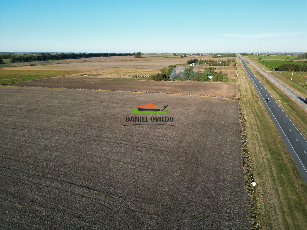 Campo Ref.209 - Excepcional ubicación en ruta 1 y campo productivo donde nadie vende.