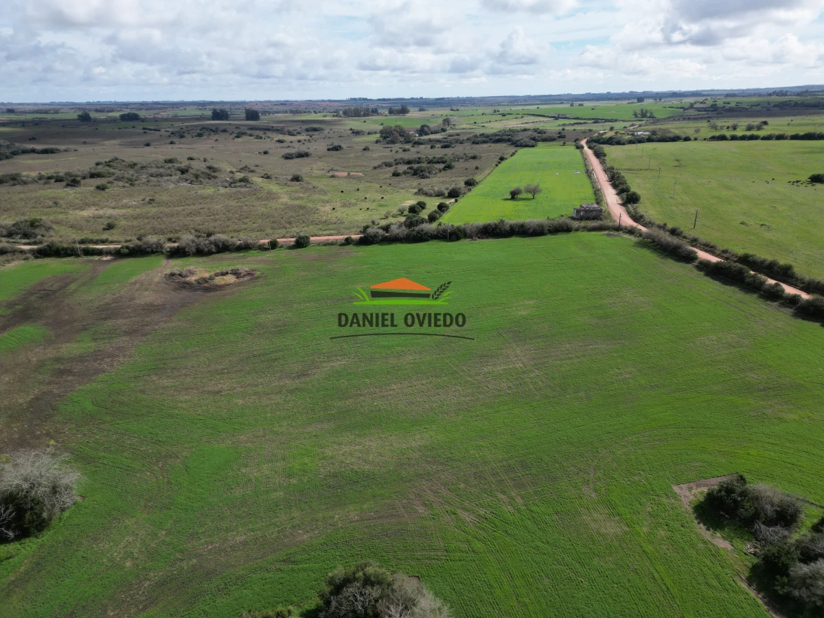 Campo Ref.249/Buen-campo-ganadero-en-venta-ideal-para-engorde. - Buen campo ganadero en venta ideal para engorde.