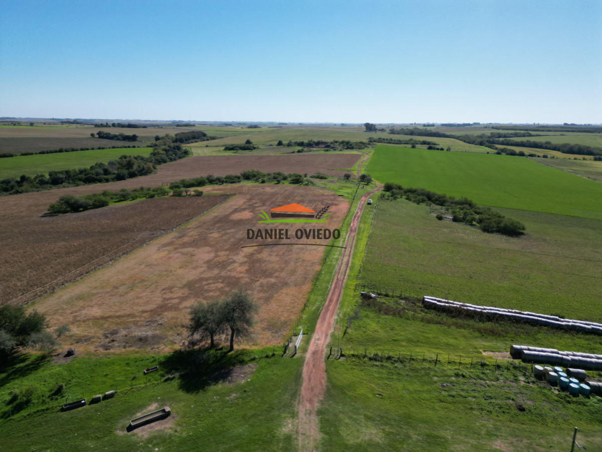 Campo Ref.381/Campo-agr - Campo agrícola en venta en zona de Víboras, Colonia.